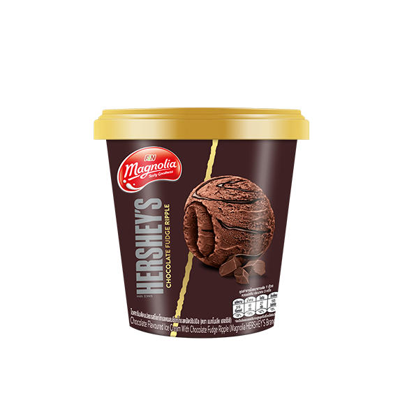 Take Home Chocolate Fudge Ripple